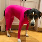 Zhongda Dog Manufacturer'S All Inclusive Four Legged Autumn And Winter New Dog Clothing Four Legged Clothing Pet Clothing Cat Elastic